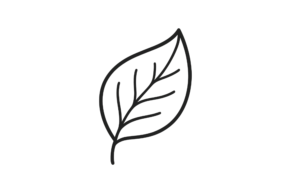 leaf icon outline